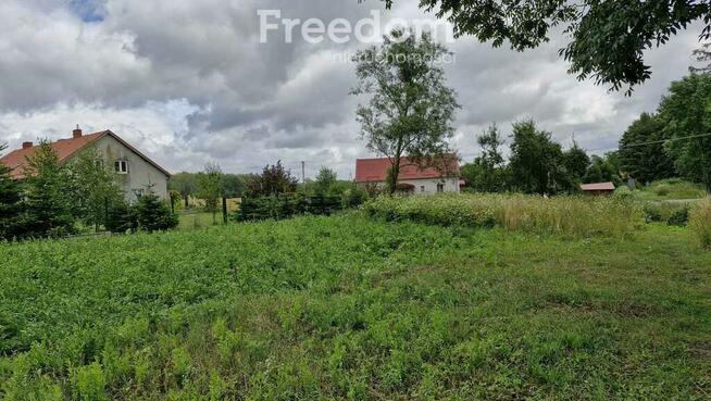 Działka 5 710 m² – przestrzeń i natura