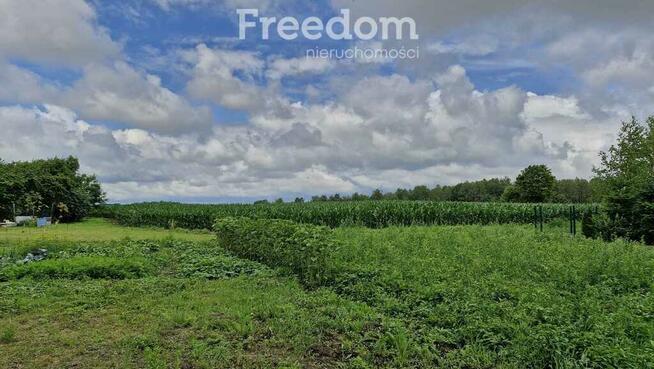 Działka 5 710 m² – przestrzeń i natura