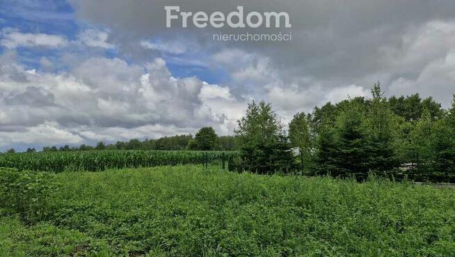 Działka 5 710 m² – przestrzeń i natura