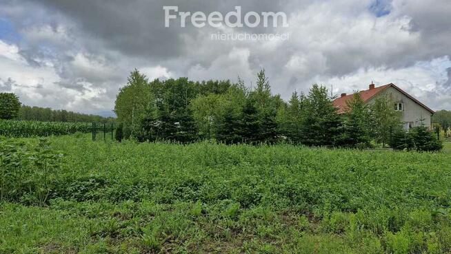 Działka 5 710 m² – przestrzeń i natura