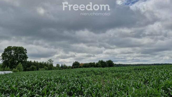 Działka 5 710 m² – przestrzeń i natura