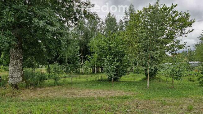 Działka 5 710 m² – przestrzeń i natura