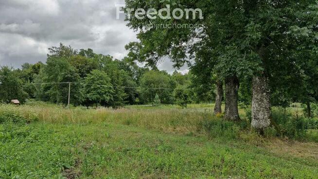 Działka 5 710 m² – przestrzeń i natura