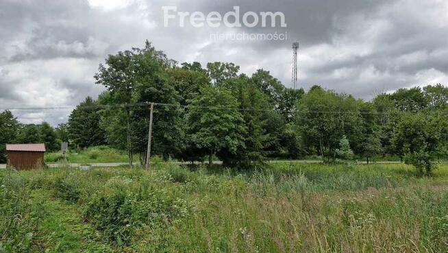 Działka 5 710 m² – przestrzeń i natura