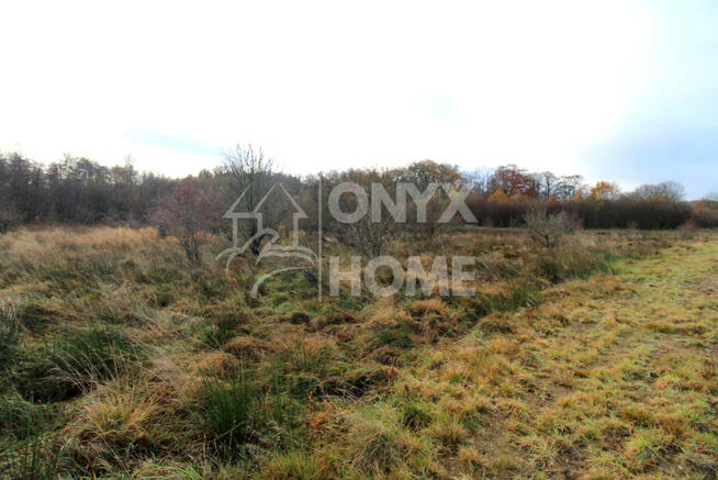 Działka inwestycyjna Mierzyno gm. Gniewino,