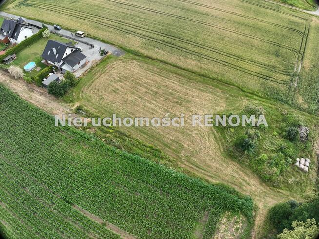 Działka Krzyżowice gm. Pawłowice, Szkolna