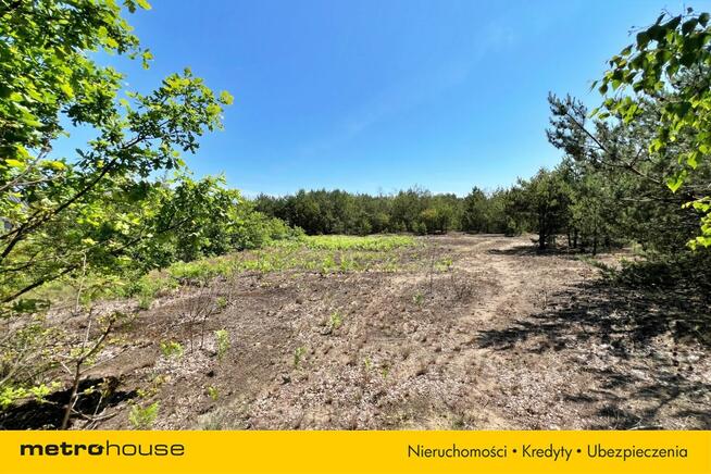 Działka budowlana w miejscowości Pupkowizna (Łyse)