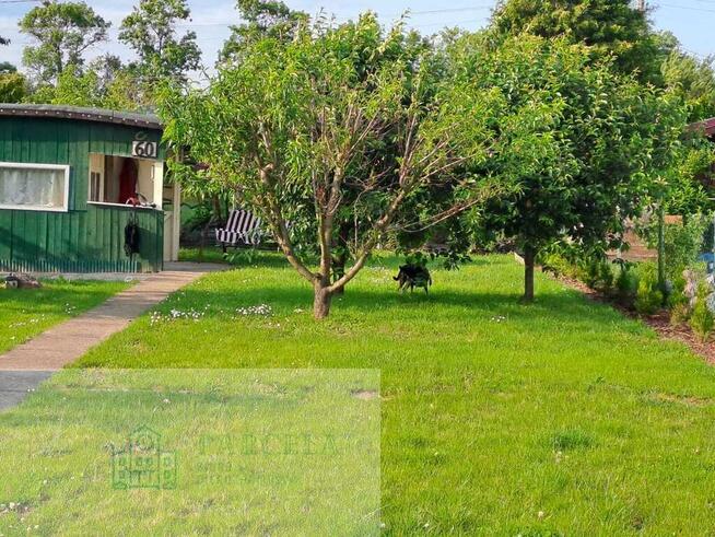 Sprzedam działkę ROD Radomsko ul. Brzeźnicka