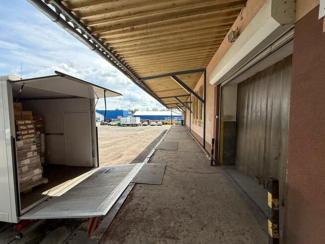 Hala magazynowa w centrum Rzeszowa