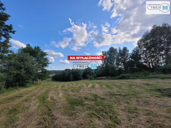 Działka rolna Masłów Masłów Drugi