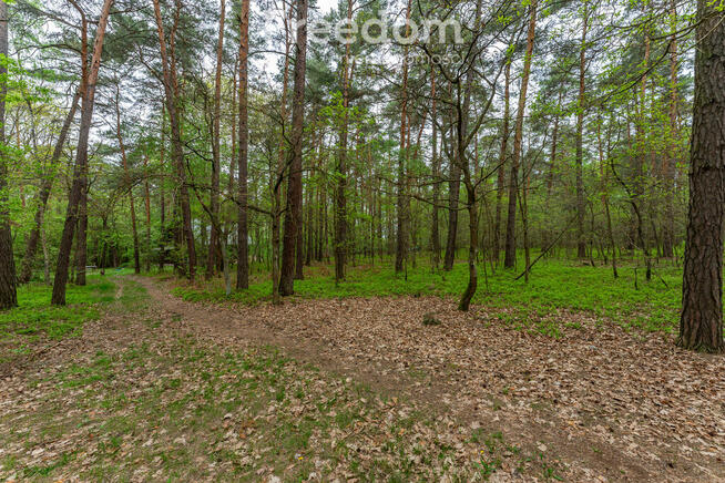 Działka 2100 m² w lesie – Jazgarzew