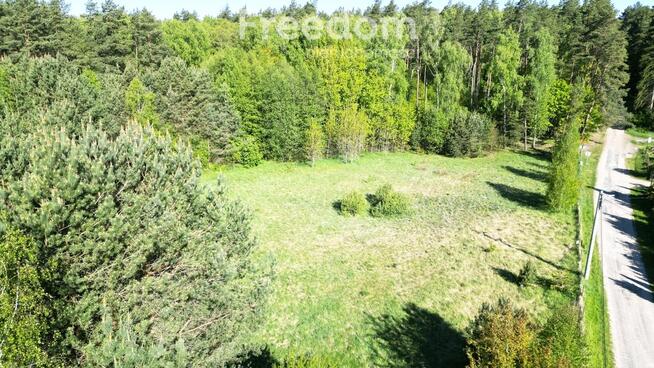 Działka 3000 m² z lasem i mediami – Wilczany