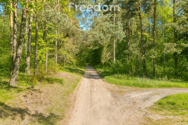 Działka 3000 m² z lasem i mediami – Wilczany