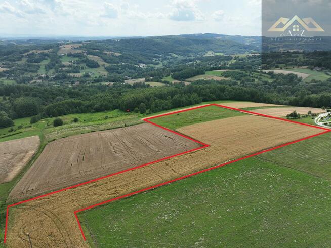 Działka rolna Piotrkowice gm. Tuchów