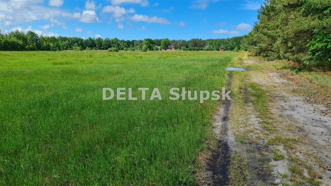 Działka inwestycyjna Smołdziński Las gm. Smołdzino