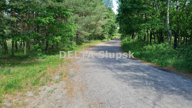 Działka inwestycyjna Smołdziński Las gm. Smołdzino