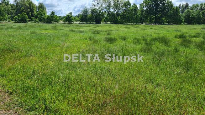 Działka inwestycyjna Smołdziński Las gm. Smołdzino