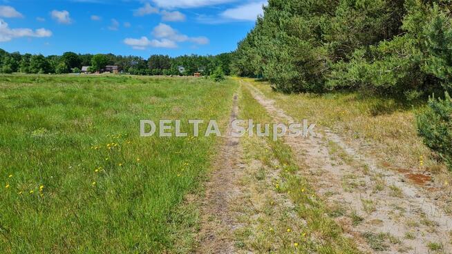 Działka inwestycyjna Smołdziński Las gm. Smołdzino