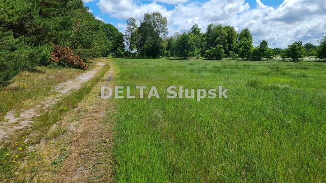 Działka inwestycyjna Smołdziński Las gm. Smołdzino