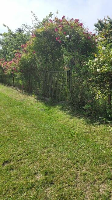 Sprzedam ogródek działkowy