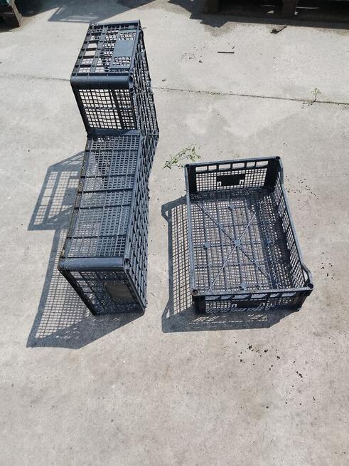 witam ,mam na sprzedanie