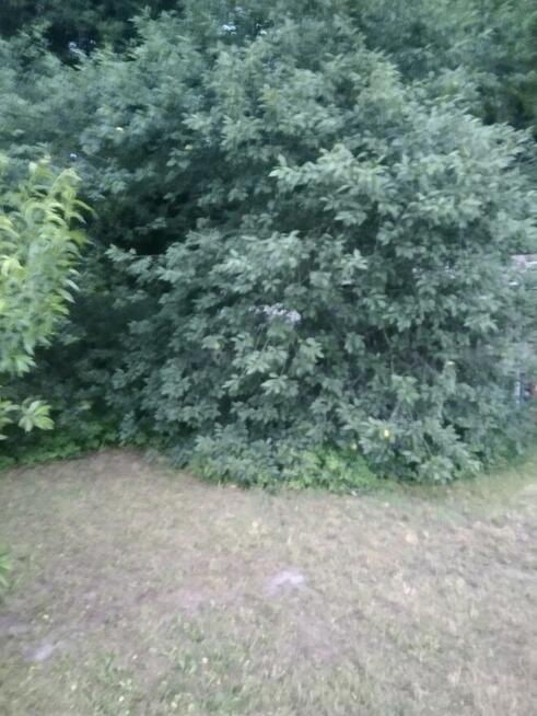 Działka ogrodowa z aktem notarialnym własnościowym