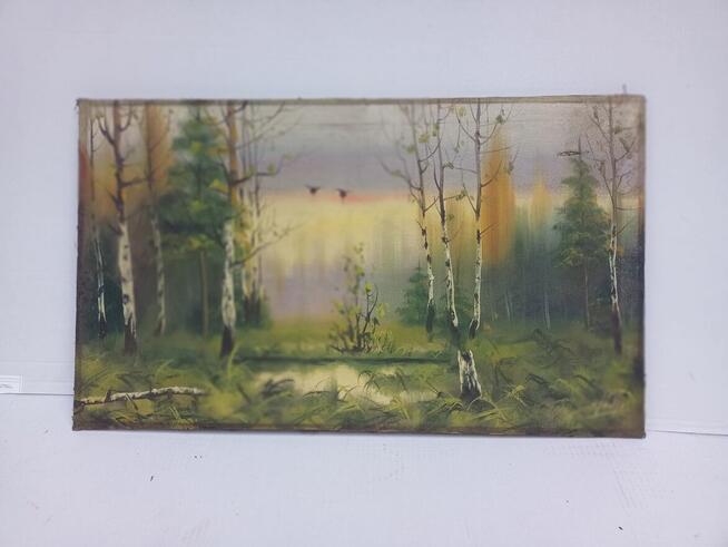 Obraz pejzaż na płótnie