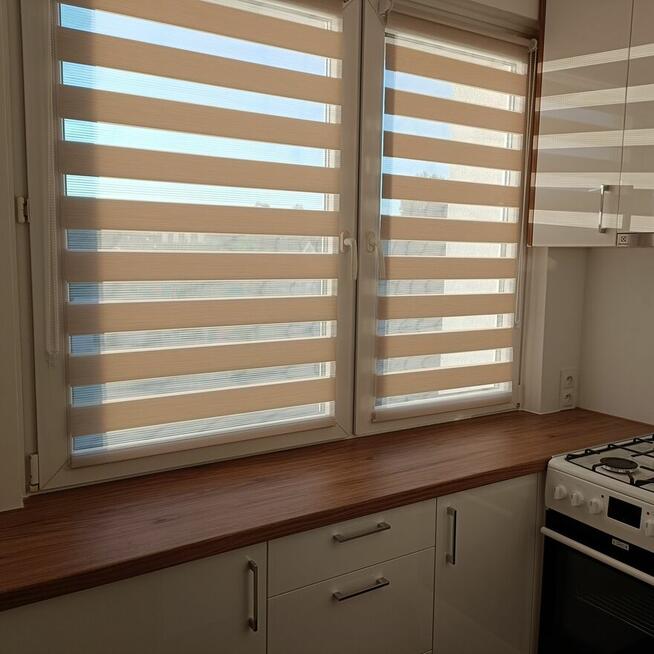 Mieszkanie do wynajęcia