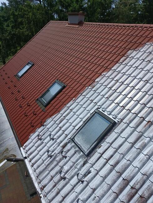 Mycie elewacji dachów oraz malowanie wycinka drzew.