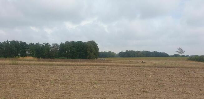 Działka pod dom 3239 m² – prąd w drodze – Kiszkowo