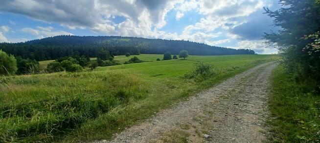 Sprzedam Działkę rolna