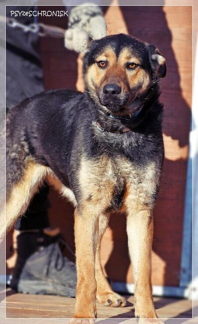 Amika – wygląd to tylko pozory – poznaj przekochaną Amikę!