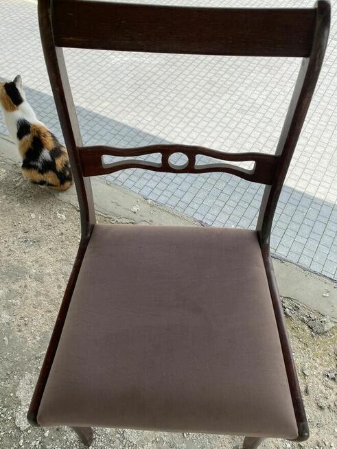 Krzesło biedermeier 6 sztuk
