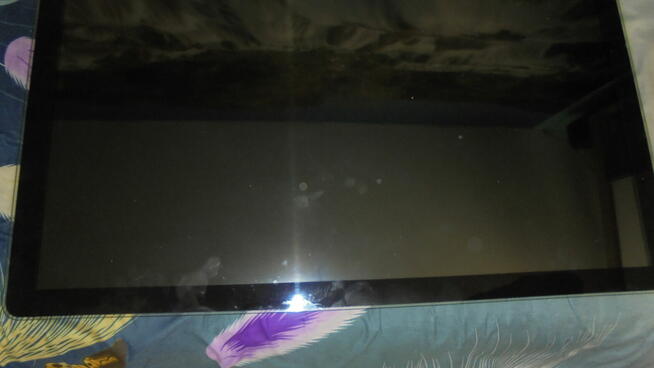 Philips 40 PFL8605H brak treści obrazu.