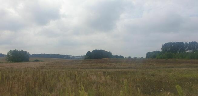 Działka pod dom 3239 m² – prąd w drodze – Kiszkowo