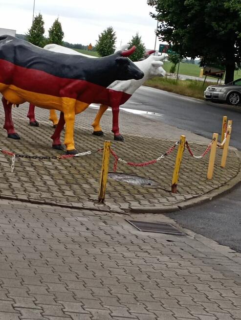Za dużo