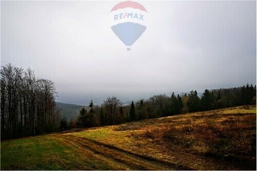 Widokowa działka sportowo - rekreacyjna w Beskidac