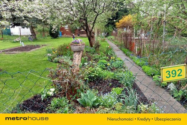 Działka ROD o pow.641m2 + murowany dom pow. 40 m2