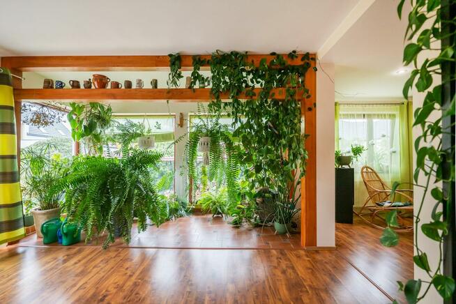 Dom Długołęka, Zawadzkiego