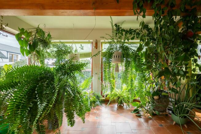 Dom Długołęka, Zawadzkiego