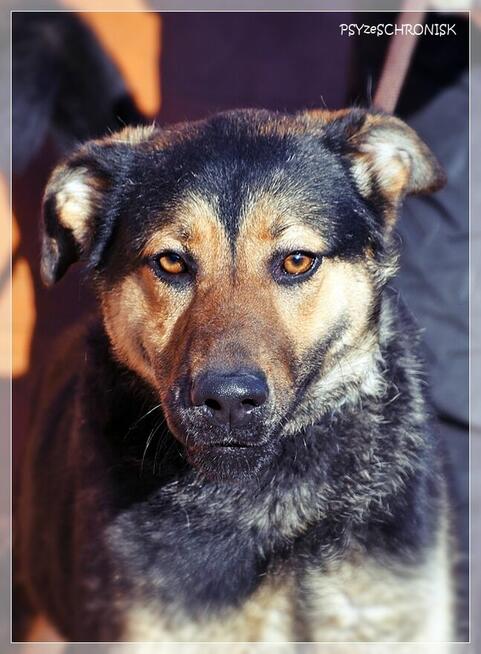 Amika – wygląd to tylko pozory – poznaj przekochaną Amikę!