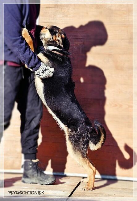 Amika – wygląd to tylko pozory – poznaj przekochaną Amikę!