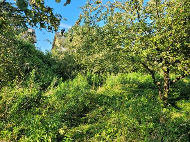 Duża działka inwestycyjna z domem - Stara Rumia