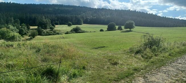 Sprzedam Działkę rolna