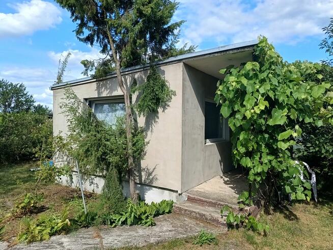 Sprzedam Działkę ROD w Koninie