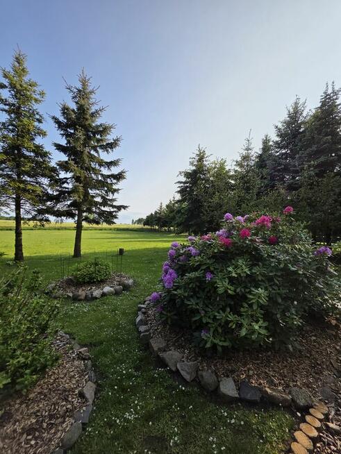 Dom z Potencjałem Inwestycyjnym, w pełni wyposażony