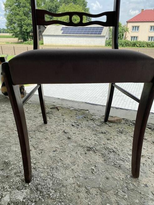 Krzesło biedermeier 6 sztuk