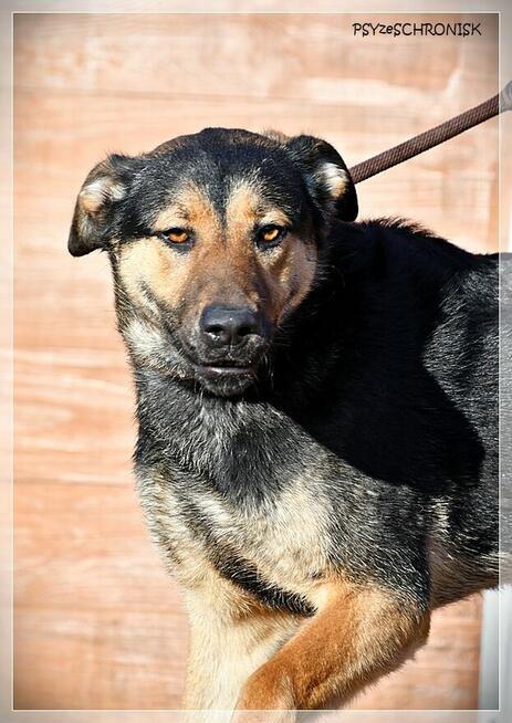 Amika – wygląd to tylko pozory – poznaj przekochaną Amikę!