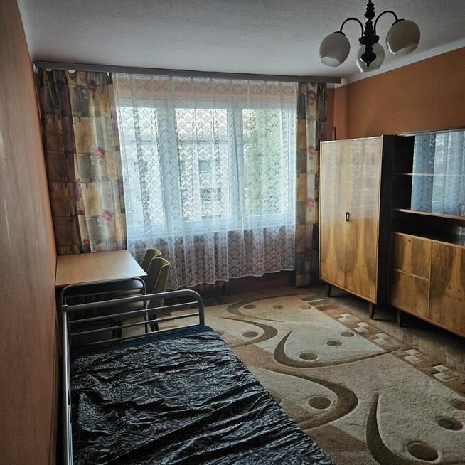 Do wynajmu od zaraz mieszkanie 49m2 , Kraków , ul.Miechowity