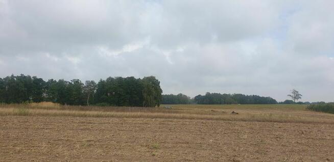 Działka pod dom 3239 m² – prąd w drodze – Kiszkowo